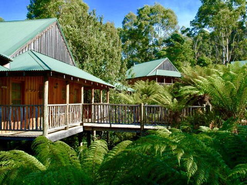 Lemonthyme Wilderness Retreat - Accommodation Brunswick Heads 11