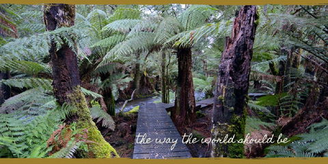 Lemonthyme Wilderness Retreat - Accommodation Brunswick Heads 17