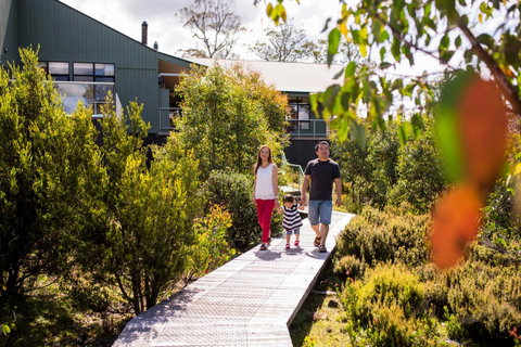Cradle Mountain Hotel - Accommodation Brunswick Heads 23