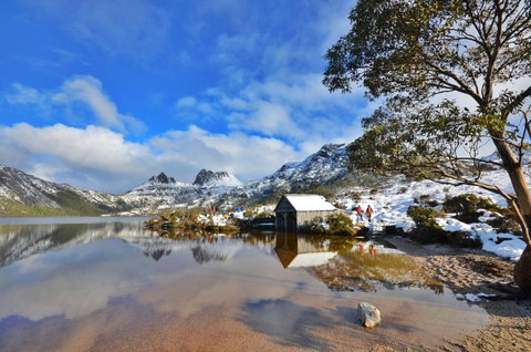 Cradle Mountain Hotel - Accommodation Brunswick Heads 3