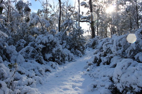 Cradle Mountain Hotel - Accommodation Brunswick Heads 4