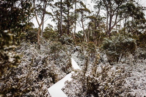 Cradle Mountain Hotel - Accommodation Brunswick Heads 6