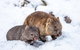 Cradle Mountain Hotel - thumb 2