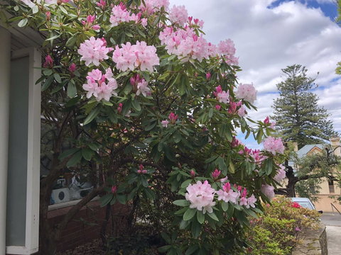 Studio SixA ... A Haven In The Heart Of Hobart - Accommodation Brunswick Heads 19
