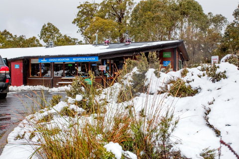 Discovery Parks - Cradle Mountain - Accommodation Brunswick Heads 29
