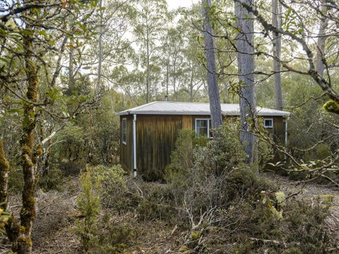 Discovery Parks - Cradle Mountain - Accommodation Brunswick Heads 18