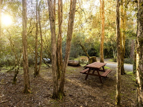 Discovery Parks - Cradle Mountain - Accommodation Brunswick Heads 19