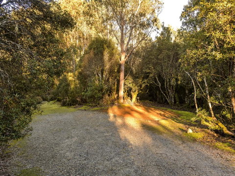 Discovery Parks - Cradle Mountain - Accommodation Brunswick Heads 2
