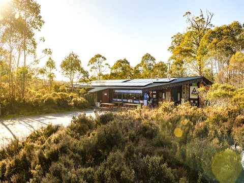 Discovery Parks - Cradle Mountain - Accommodation Brunswick Heads 21