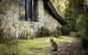 Discovery Parks - Cradle Mountain - thumb 22