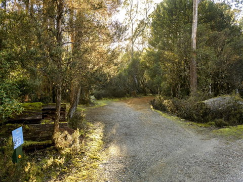 Discovery Parks - Cradle Mountain - Accommodation Brunswick Heads 1