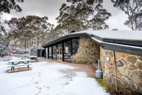 Discovery Parks - Cradle Mountain - Accommodation Brunswick Heads 0