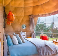 Domescapes in the Vines - Accommodation Brunswick Heads