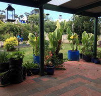 Blue Wren Bungalow - Accommodation Brunswick Heads