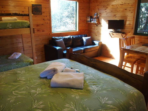 Cradle Highlander - Accommodation Brunswick Heads 34
