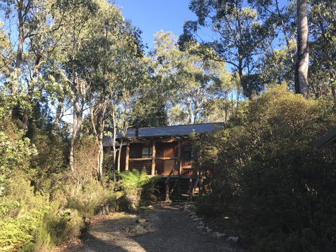 Cradle Highlander - Accommodation Brunswick Heads 14