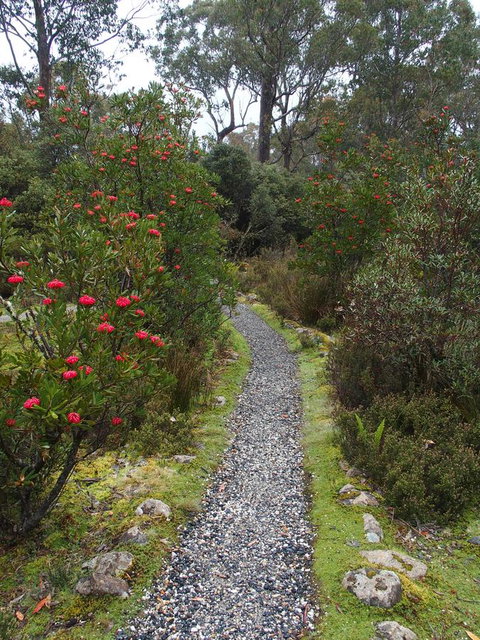Cradle Highlander - Accommodation Brunswick Heads 6