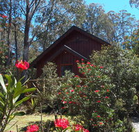 Cradle Mountain Highlanders - Accommodation Brunswick Heads