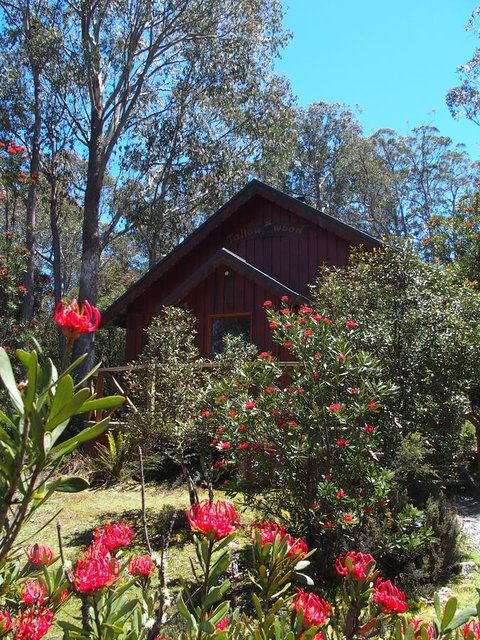 Cradle Highlander - Accommodation Brunswick Heads 0
