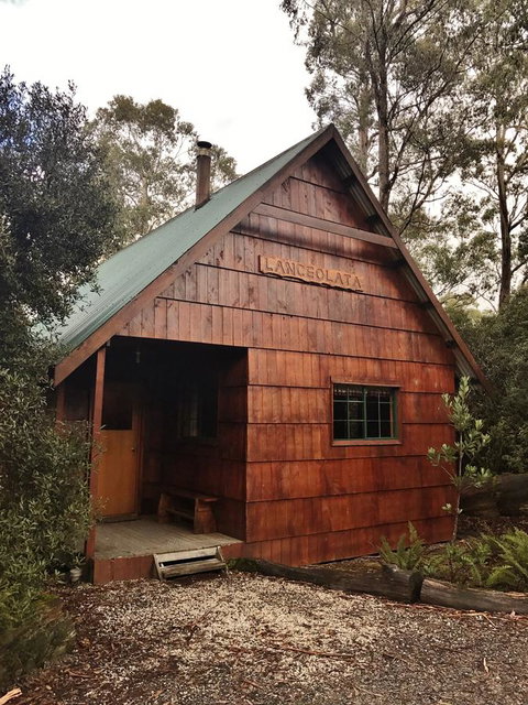 Cradle Highlander - Accommodation Brunswick Heads 3