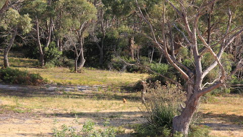 BAY OF FIRES SEACHANGE Ocean Frontage - Accommodation Brunswick Heads 12
