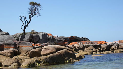 BAY OF FIRES SEACHANGE Ocean Frontage - Accommodation Brunswick Heads 21