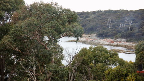 BAY OF FIRES SEACHANGE Ocean Frontage - Accommodation Brunswick Heads 15