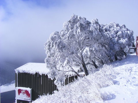 Arlberg Hotham - Accommodation Brunswick Heads 15