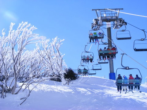 Arlberg Hotham - Accommodation Brunswick Heads 12