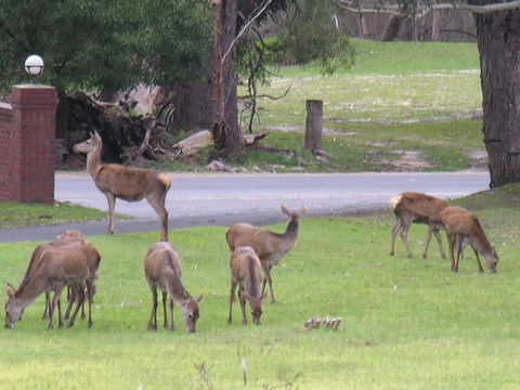 The Grampians Motel - Accommodation Brunswick Heads 23