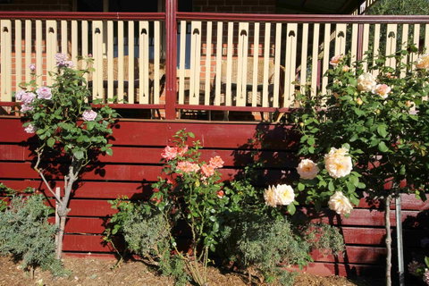 Oxford Rise Apartment - Accommodation Brunswick Heads 21