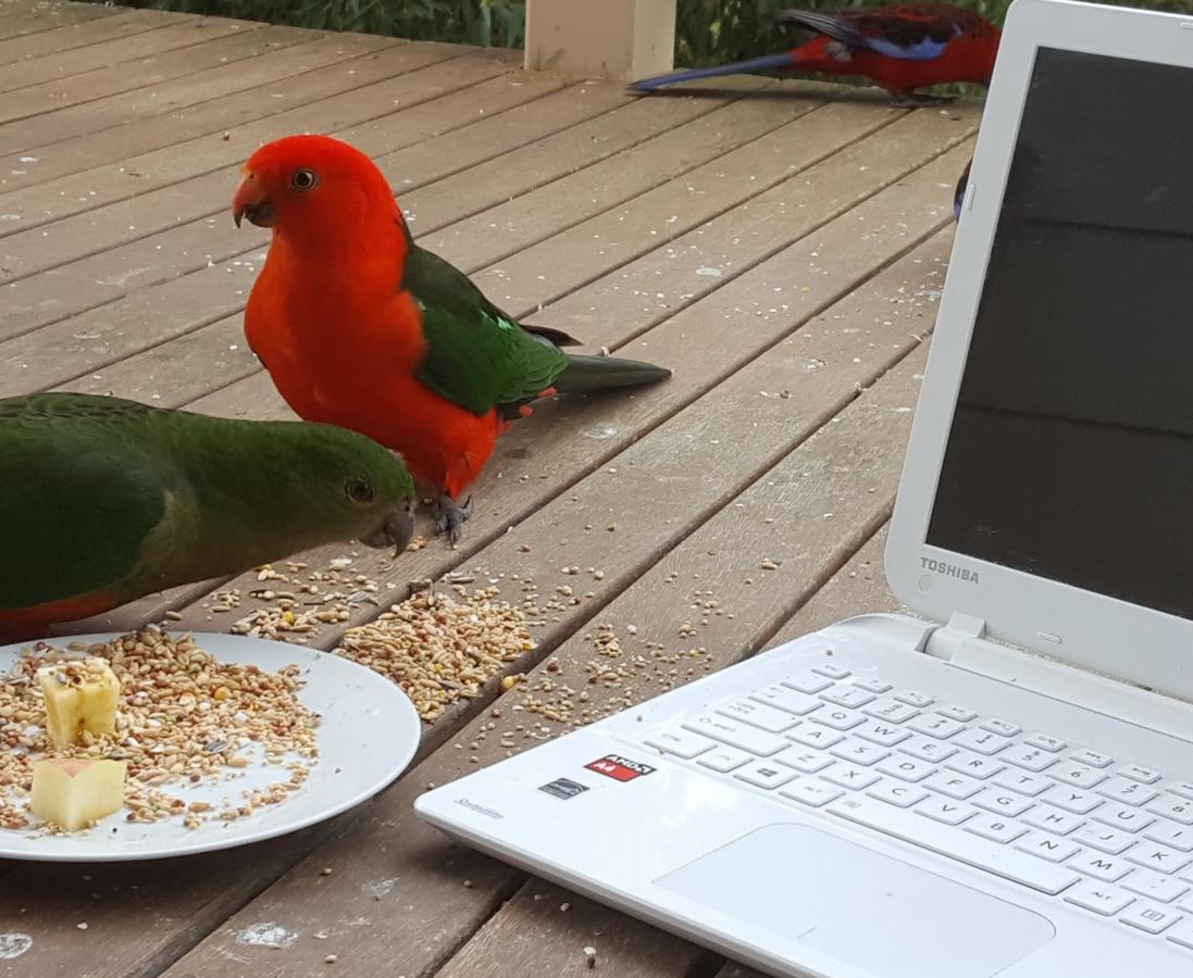 Accommodation Brunswick Heads