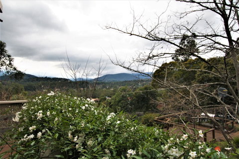 Hamptons In Healesville - Accommodation Brunswick Heads 13