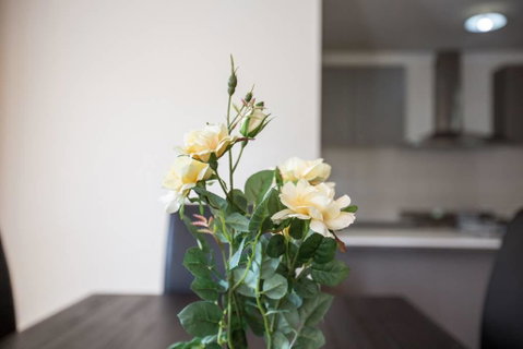 Holiday Rose - Accommodation Brunswick Heads 8