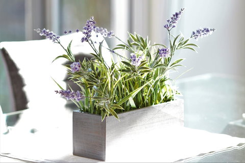 Tamara Temptation - Accommodation Brunswick Heads 23