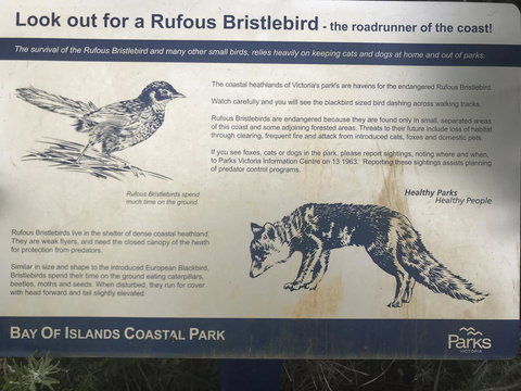 Sunsets On Martyrs Luxury Coastal Beach House Peterborough - Accommodation Brunswick Heads 40