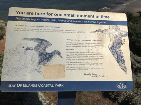 Sunsets On Martyrs Luxury Coastal Beach House Peterborough - Accommodation Brunswick Heads 39