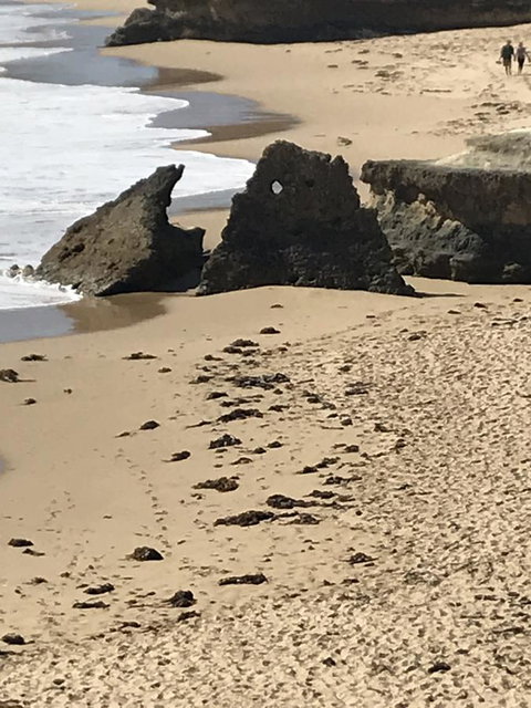 Sunsets On Martyrs Luxury Coastal Beach House Peterborough - Accommodation Brunswick Heads 41