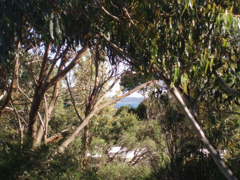 Aloha Ha Phillip Island - Accommodation Brunswick Heads 24