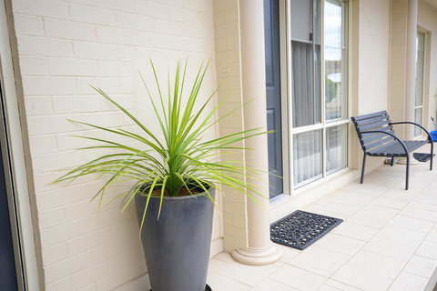 Hamilton Townhouse Motel - Accommodation Brunswick Heads 8