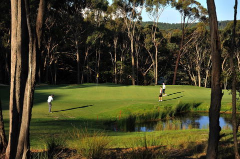 RACV Goldfields Resort - Accommodation Brunswick Heads 12