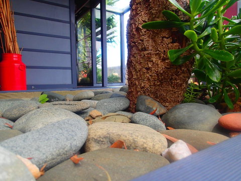 Azen Haven - Accommodation Brunswick Heads 11