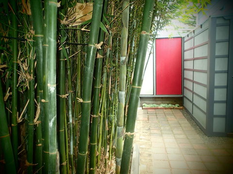 Azen Haven - Accommodation Brunswick Heads 13