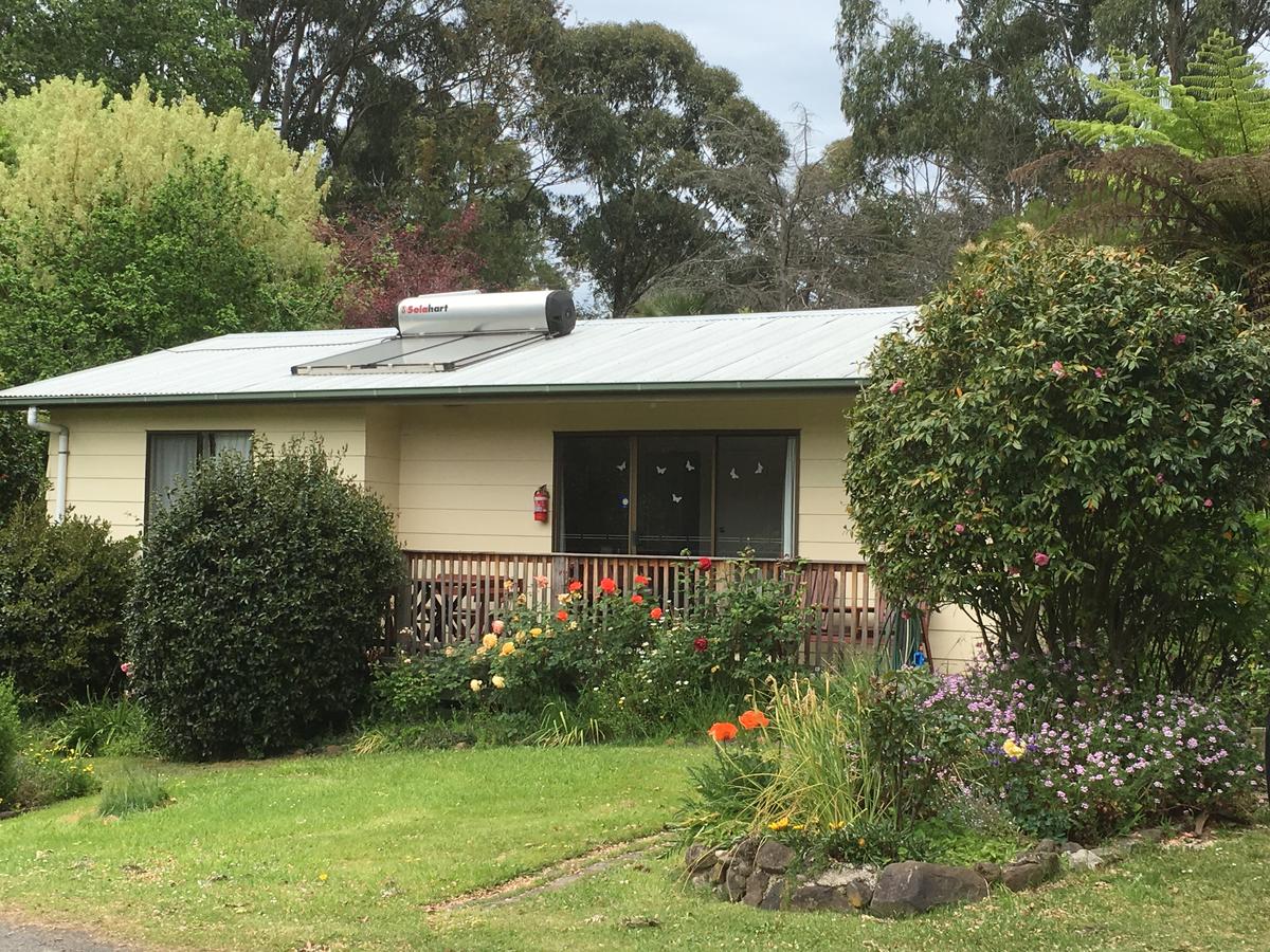 Allambee Reserve VIC Accommodation Brunswick Heads