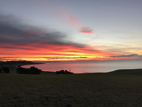 The Cove Tasmania - Accommodation Brunswick Heads 1