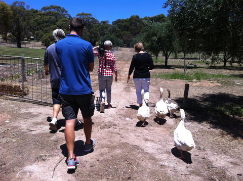 The Farm Willunga - Accommodation Brunswick Heads 1