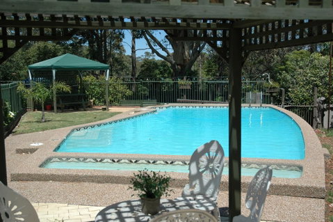 The Tree Motel - Accommodation Brunswick Heads 0