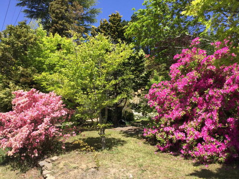 The Wentworth Retreat - Accommodation Brunswick Heads 1