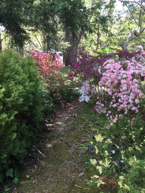 The Wentworth Retreat - Accommodation Brunswick Heads 3