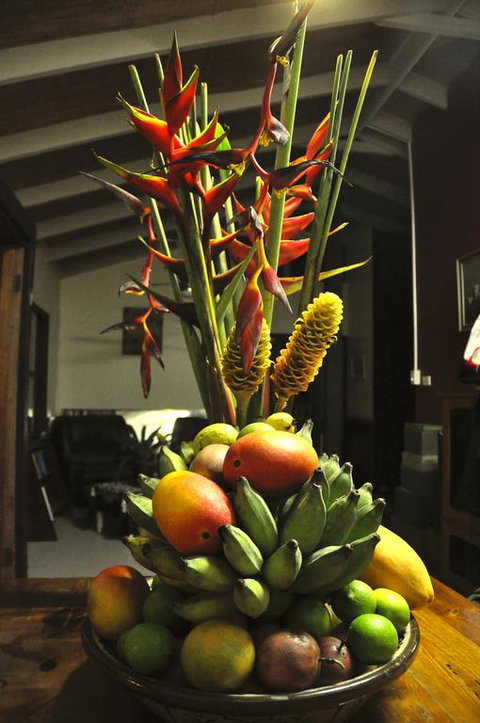 Tropical Bliss Bed And Breakfast - Accommodation Brunswick Heads 3